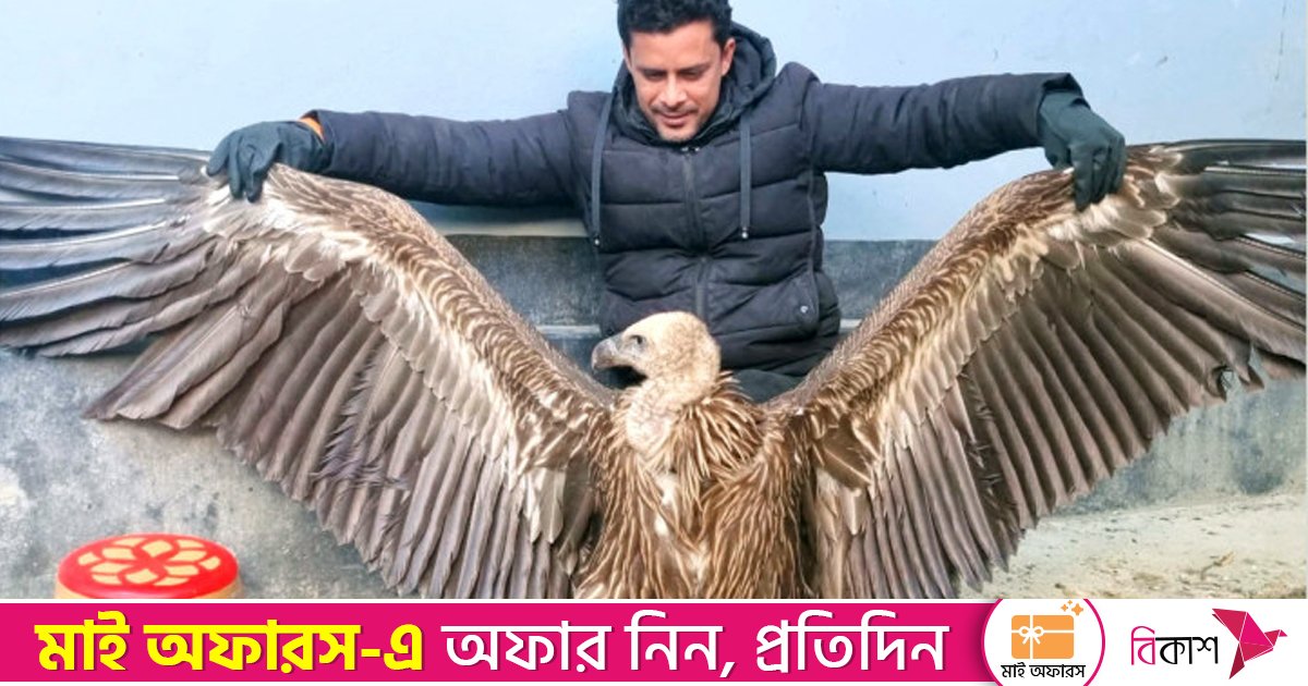 সিরাজগঞ্জে বিরল প্রজাতির হিমালয়ান শকুন উদ্ধার