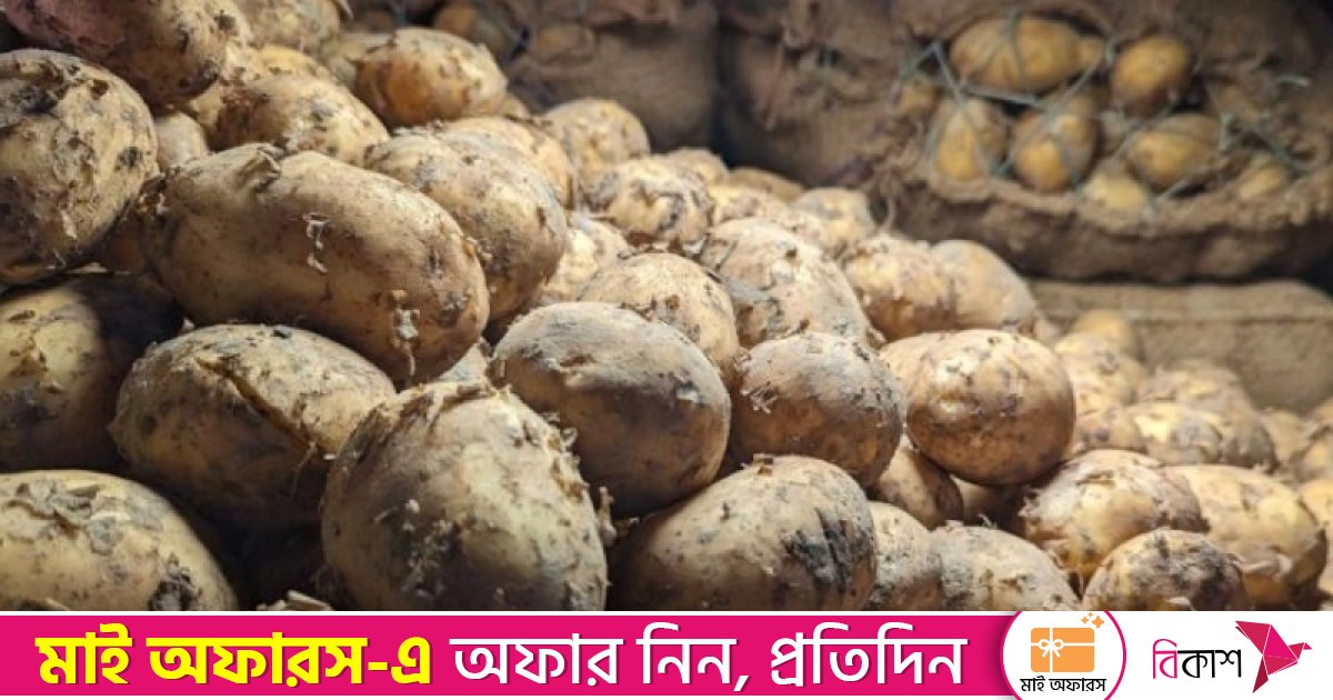 নতুনের দাম বেশি, চাহিদা কম পুরোনো আলুর