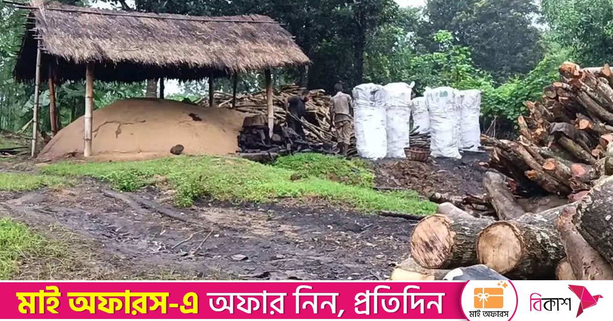 খাগড়াছড়ির এক ইউনিয়নেই কাঠ পুড়িয়ে কয়লা তৈরির ৩০০ চুল্লি