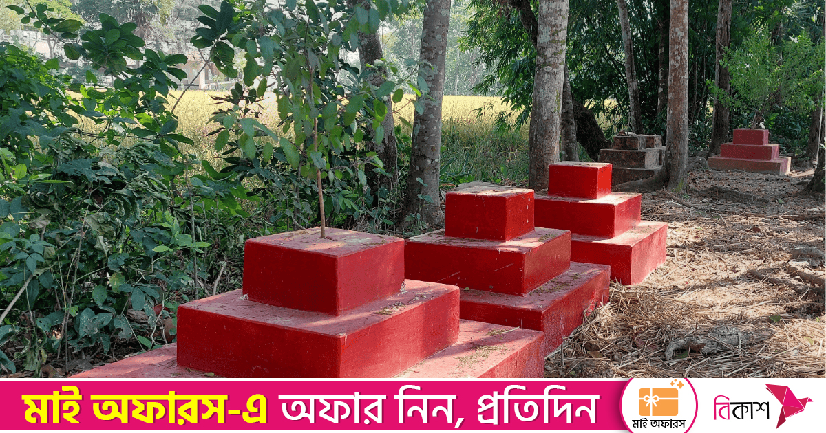 অবহেলায় পটুয়াখালীর সুতাবাড়িয়ায় শহীদদের বধ্যভূমি