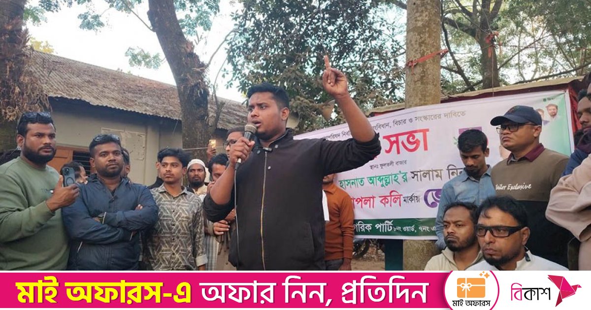 ৩০ হাজার আওয়ামী লীগ নেতাকর্মীকে আশ্রয় দিয়েছে ভারত: হাসনাত