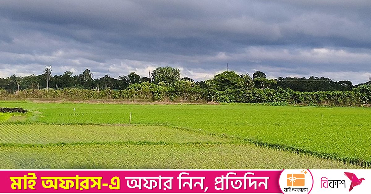 আখাউড়া সীমান্ত দিয়ে ভারতে প্রবেশের সময় বিএসএফের হাতে যুবক আটক