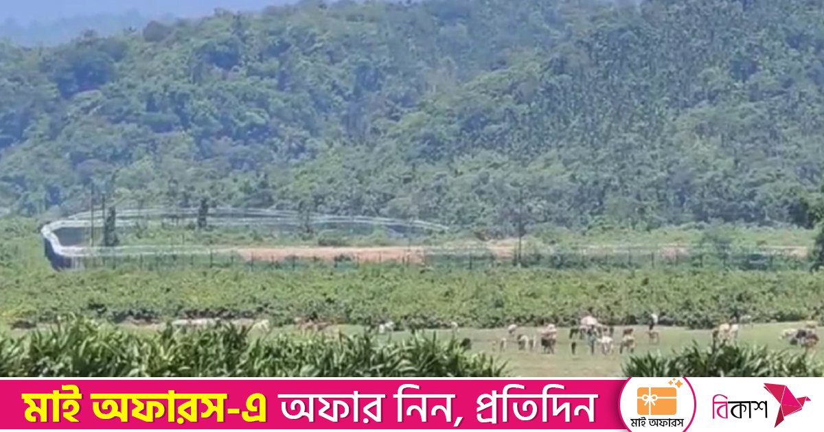 সিলেট সীমান্তে ‘ভারতীয় খাসিয়ার গুলিতে’ ২ বাংলাদেশি নিহত