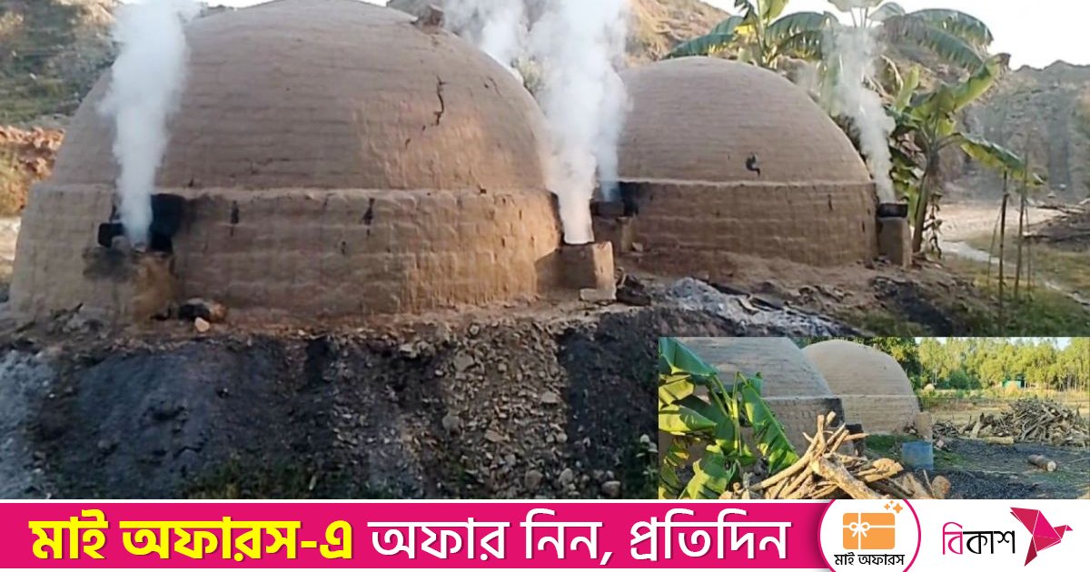 মির্জাপুরে বনাঞ্চলের আশপাশে গড়ে উঠেছে অবৈধ কয়লার চুল্লি, হুমকির মুখে পরিবেশ ও জীববৈচিত্র্য