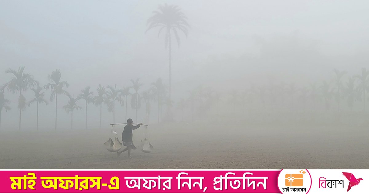 ফুলবাড়ীতে হিমেল বাতাস ও ঘন কুয়াশায় জনজীবন স্থবির, তাপমাত্রা ১২ ডিগ্রি