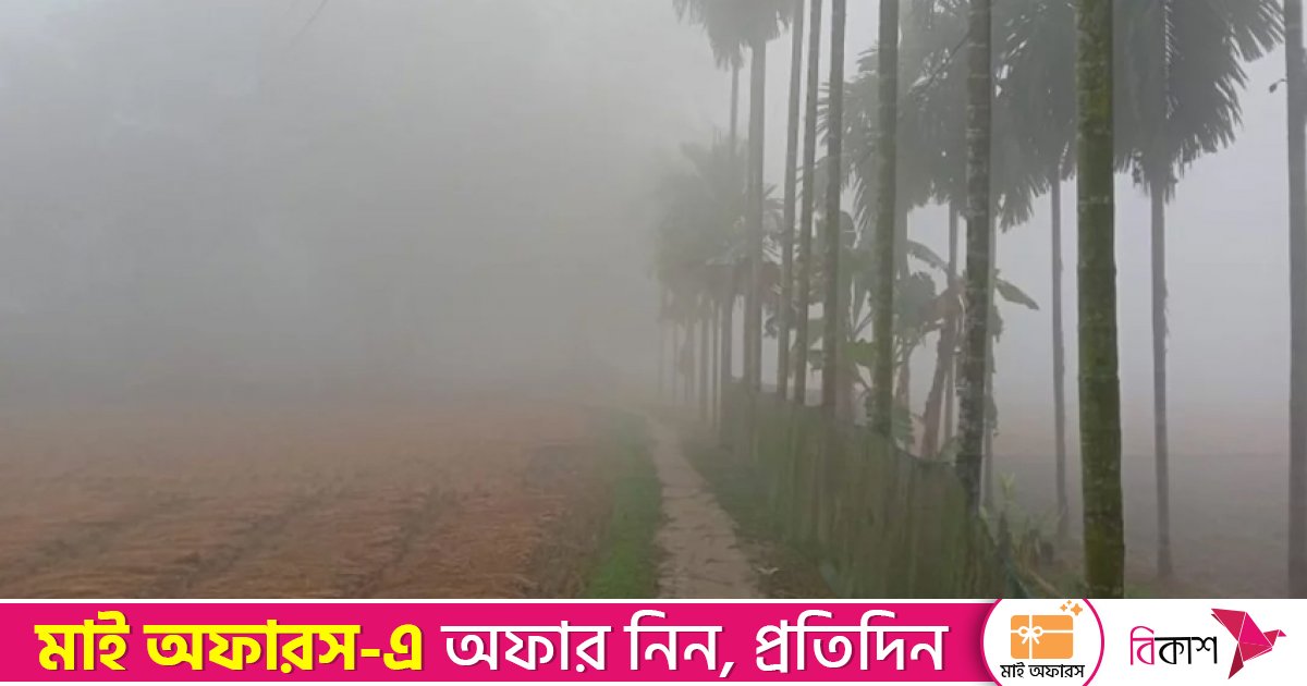 ঘন কুয়াশা ও তাপমাত্রা নিয়ে আবহাওয়া অধিদপ্তরের সতর্কতা