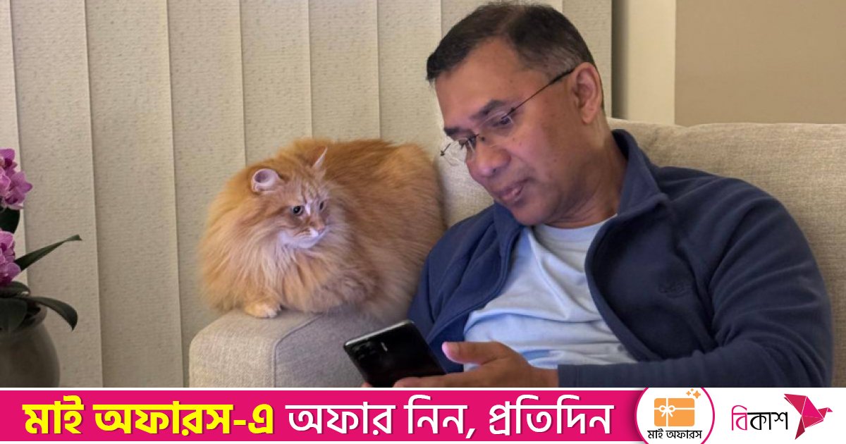 তারেক রহমানের সঙ্গে আসছে সেই বিড়ালও