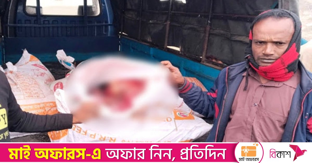 যমুনার চরে ৭টি ঘোড়া জবাইয়ের পর ঢাকায় মাংস পাচারচেষ্টা, আটক ২