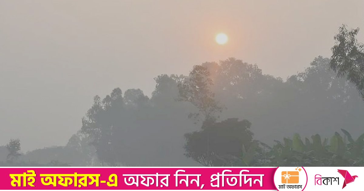 চার দিন পর সূর্যের দেখা, ঠাকুরগাঁওয়ে কিছুটা স্বস্তি