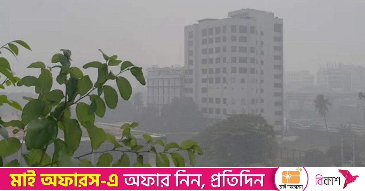 দুপুর পর্যন্ত ঘন কুয়াশায় ঢাকা থাকবে রাজধানী, বাড়বে শীত