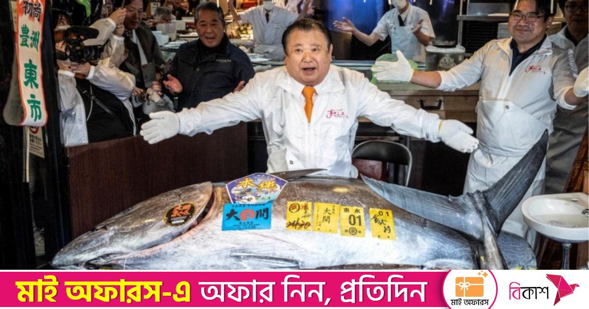 জাপানে ২৪৩ কেজির টুনা মাছ বিক্রি হলো ৩৯ কোটি টাকায়