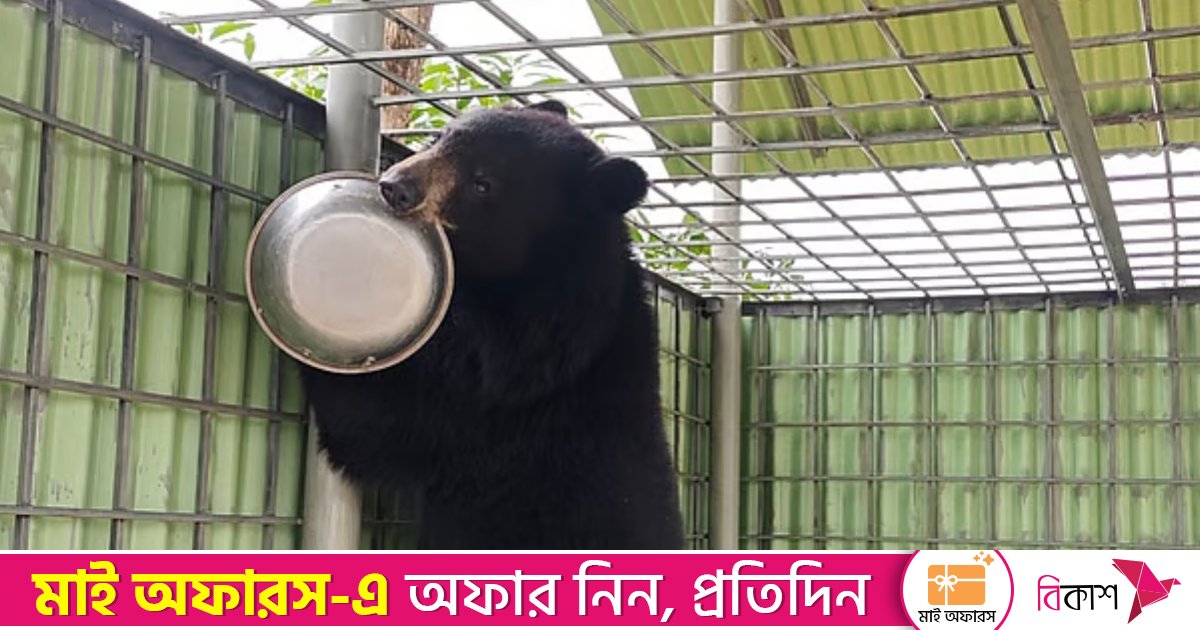 সাবেক ইউপি সদস্যের বাড়ি যেন চিড়িয়াখানা, মিললো ভালুক-মায়া হরিণ