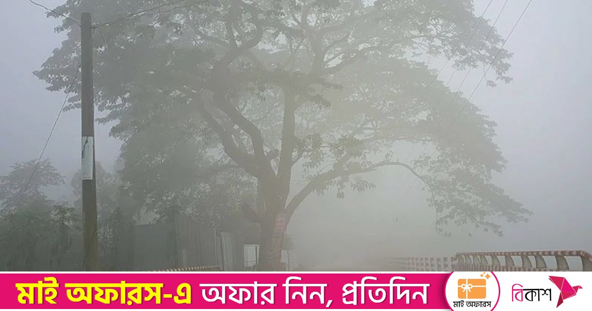 চুয়াডাঙ্গায় শৈত্যপ্রবাহ, তাপমাত্রা ৮.৮ ডিগ্রি