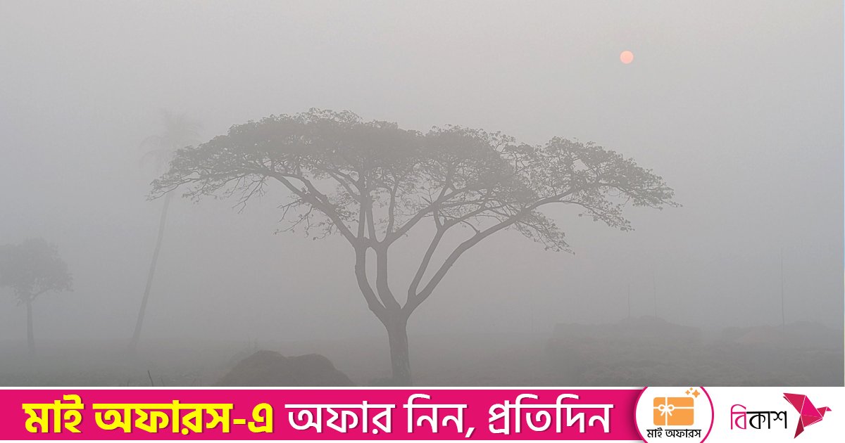 তেঁতুলিয়ায় শীতে বিপর্যস্ত জনজীবন, তাপমাত্রা ৬.৯ ডিগ্রিতে