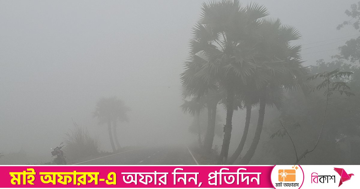 শীতে জবুথবু ঈশ্বরদী, তাপমাত্রা নেমেছে ৭.৩ ডিগ্রিতে