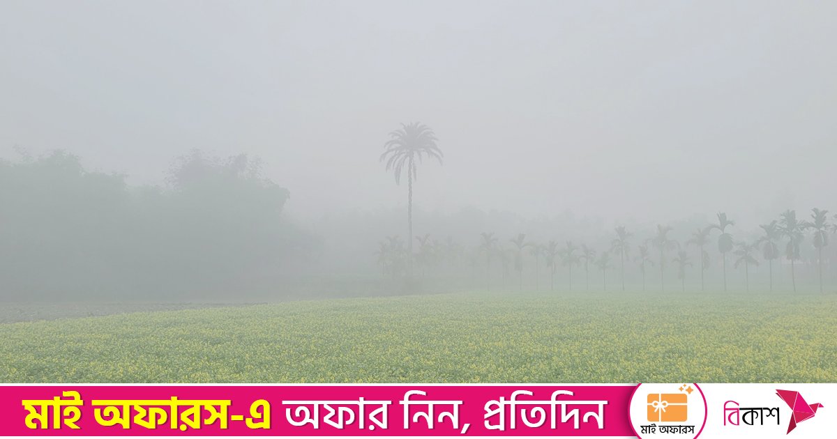 তীব্র শীতে বিপর্যস্ত ফুলবাড়ী, সর্বনিম্ন তাপমাত্রা ৮.৫ ডিগ্রি