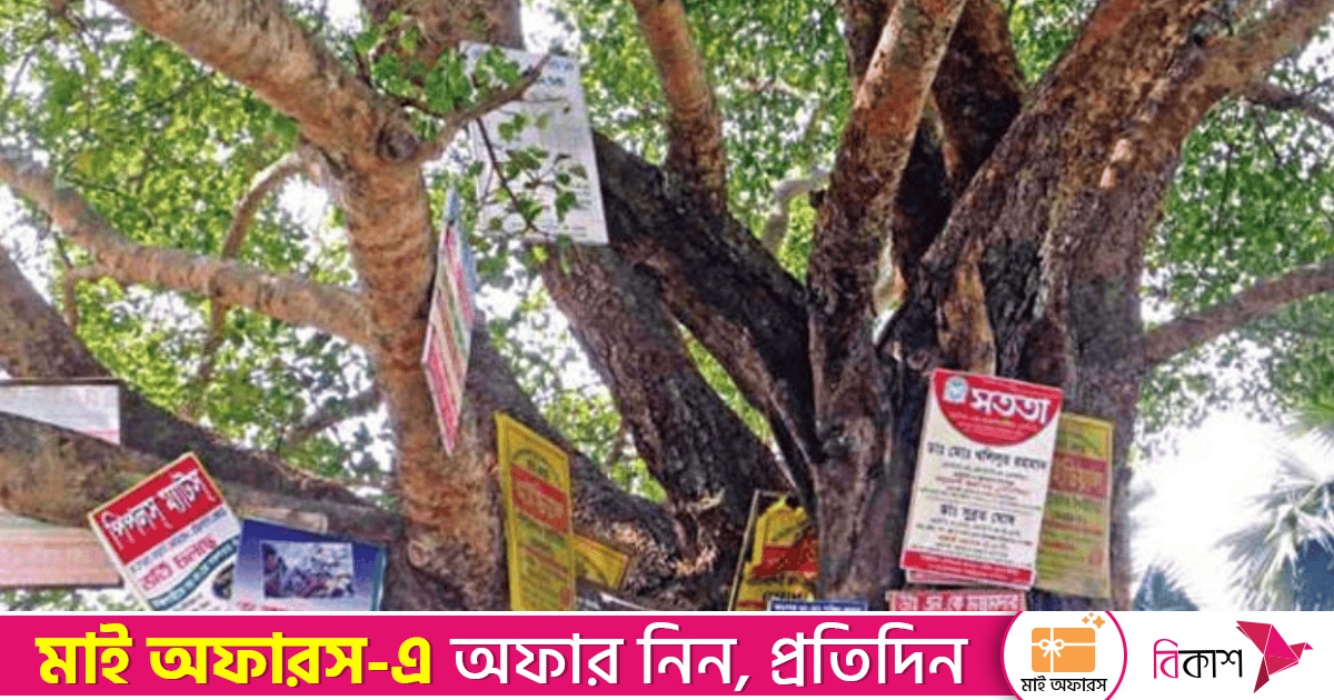 গাছে পেরেক লাগালে জরিমানা ২০ হাজার টাকা, নতুন অধ্যাদেশ জারি