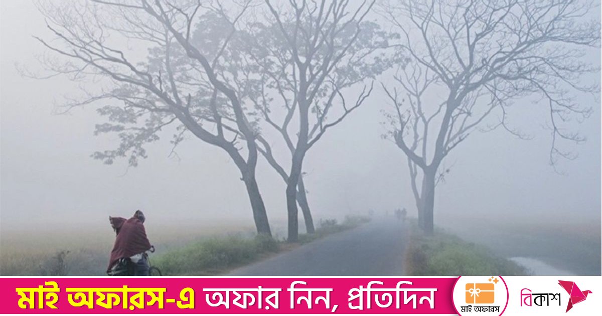 শনিবার থেকে বাড়বে শীত, চলতি মাসে একাধিক শৈত্যপ্রবাহের আভাস