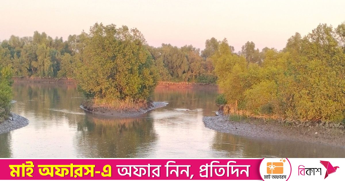 টানা তিন দিন গোলাগুলি ও বিস্ফোরণের শব্দে আতঙ্কিত টেকনাফ সীমান্তের মানুষ