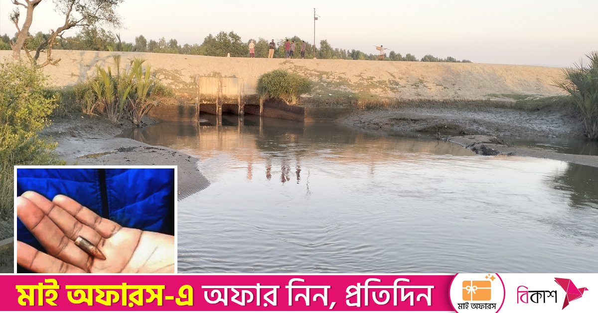 মিয়ানমার থেকে ছোড়া গুলি এপারে, বিস্ফোরণের শব্দে সীমান্তে আতঙ্ক