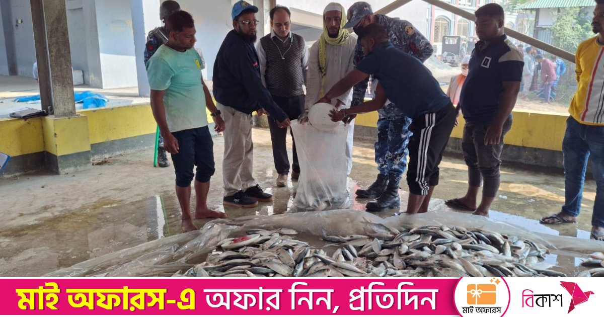 যাত্রীবাহী বাসে জব্দ ৩ হাজার কেজি জাটকা এতিমখানায় বিতরণ