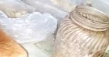 নাটোরে গরুর খামারের পাশে নোংরা পরিবেশে তৈরি হচ্ছিল ‘মৌচাক’ বেকারির খাদ্যপণ্য