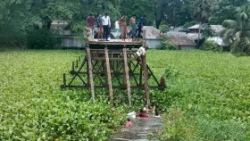 সেতু ভেঙে মাইক্রোবাস খালে, ১০ বরযাত্রী নিহত