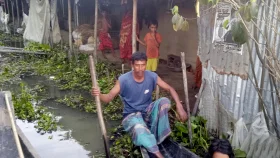 দিন যেমন-তেমন, রাত কাটছে সাপ আতঙ্কে