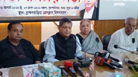 বর্তমান পরিস্থিতিতে সরকার পতনের কোনো শঙ্কা নেই