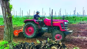 মধুপুরে গজারি বন জুড়ে হালচাষ
