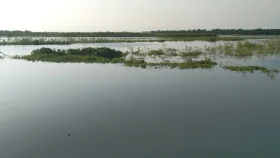 শিবগঞ্জে আকস্মিক বন্যা, পানিবন্দী ৩৬ হাজার মানুষ