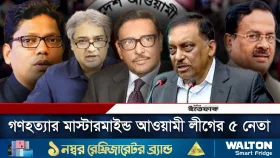 শেখ হাসিনা সম্পর্কে রিমান্ডে চাঞ্চল্যকর তথ্য দিলেন সালমান এফ রহমান