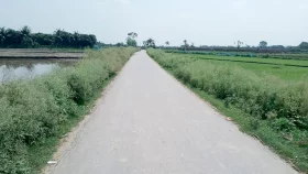 চৌগাছায় সড়ক নির্মাণে শুভঙ্করের ফাঁকি