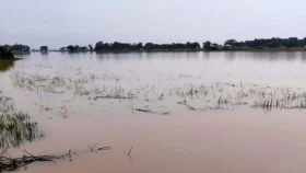 তাহিরপুরে তলিয়েছে ৩ হাজার একর জমির ধান