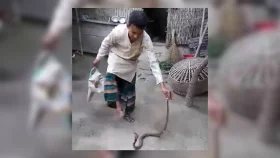 সাপের কামড়ে সাপুড়ের মৃত্যু, রাতভর লাশে ঝাড়ফুঁক