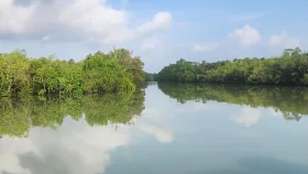 সুন্দরবন দিয়ে ৭৮ জনকে পুশইন বিএসএফের