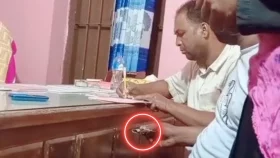 ভিজিডি চাল বিতরণে বিএনপি নেতা ও ইউপি সদস্যের টাকা আদায়, ভিডিও ভাইরাল