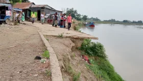 সুনামগঞ্জে বাঁশ-গাছ দিয়ে নদী ভাঙনের হাত থেকে বসতভিটা রক্ষার চেষ্টা