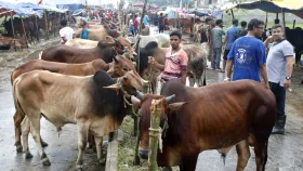 কার সঙ্গে ভাগে কোরবানি দেওয়া যাবে না?