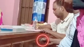 সরকারি চাল বিতরণে অনিয়ম, ঘুষকাণ্ডে বহিষ্কার ৩ বিএনপি নেতা