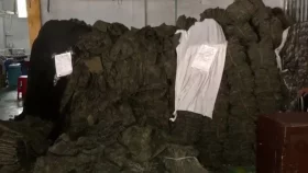 কুকি-চিনের উদ্ধার হওয়া ২০ হাজার ইউনিফর্ম ঘিরে নানা প্রশ্ন