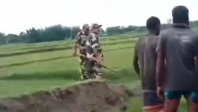 পুশ ইনে ব্যর্থ হয়ে বাংলাদেশি কৃষকের ৬ গরু নিয়ে গেল বিএসএফ&nbsp;