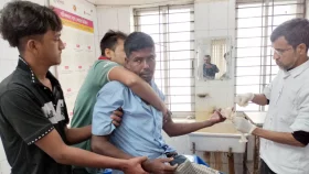 একজনের আঙ্গুল কামড়ে নিয়েছে শিয়াল, নারী-শিশুসহ হাসপাতালে ৫