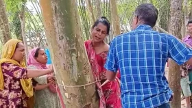 করলা চুরির অভিযোগে স্ত্রীকে গাছে বেঁধে পেটালেন স্বামী