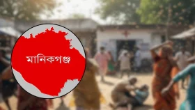 ব্যস্ত সড়কে হঠাৎ ভিমরুলের আক্রমণ, নারীসহ আহত ৮