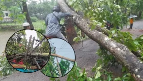 ঝড়ে লন্ডভন্ড কুমিল্লা, বিকল ৩৫ ট্রান্সফরমার