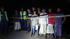 গরু চুরি ঠেকাতে বসলো &lsquo;বাঁশের চেকপোস্ট&rsquo;, পাহারায় গ্রামবাসী