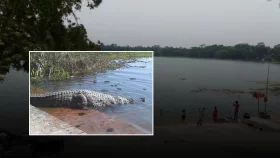 খান জাহান আলীর মাজারের দীঘিতে শিশুকে টেনে নিয়ে গেছে কুমির