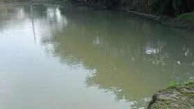 ছোট ভাইকে বাঁচাতে পুকুরে ঝাঁপ, প্রাণ গেল দুজনেরই