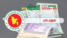 নতুন পে-স্কেলে আলাদা বরাদ্দ থাকছে না